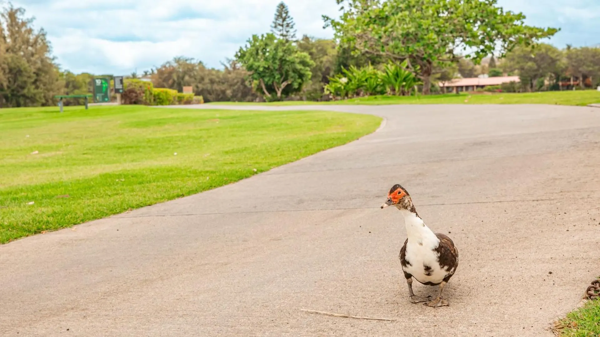 1 Acre Private Resort 4 Bed 3 Bath Cinema Spa Waikoloa