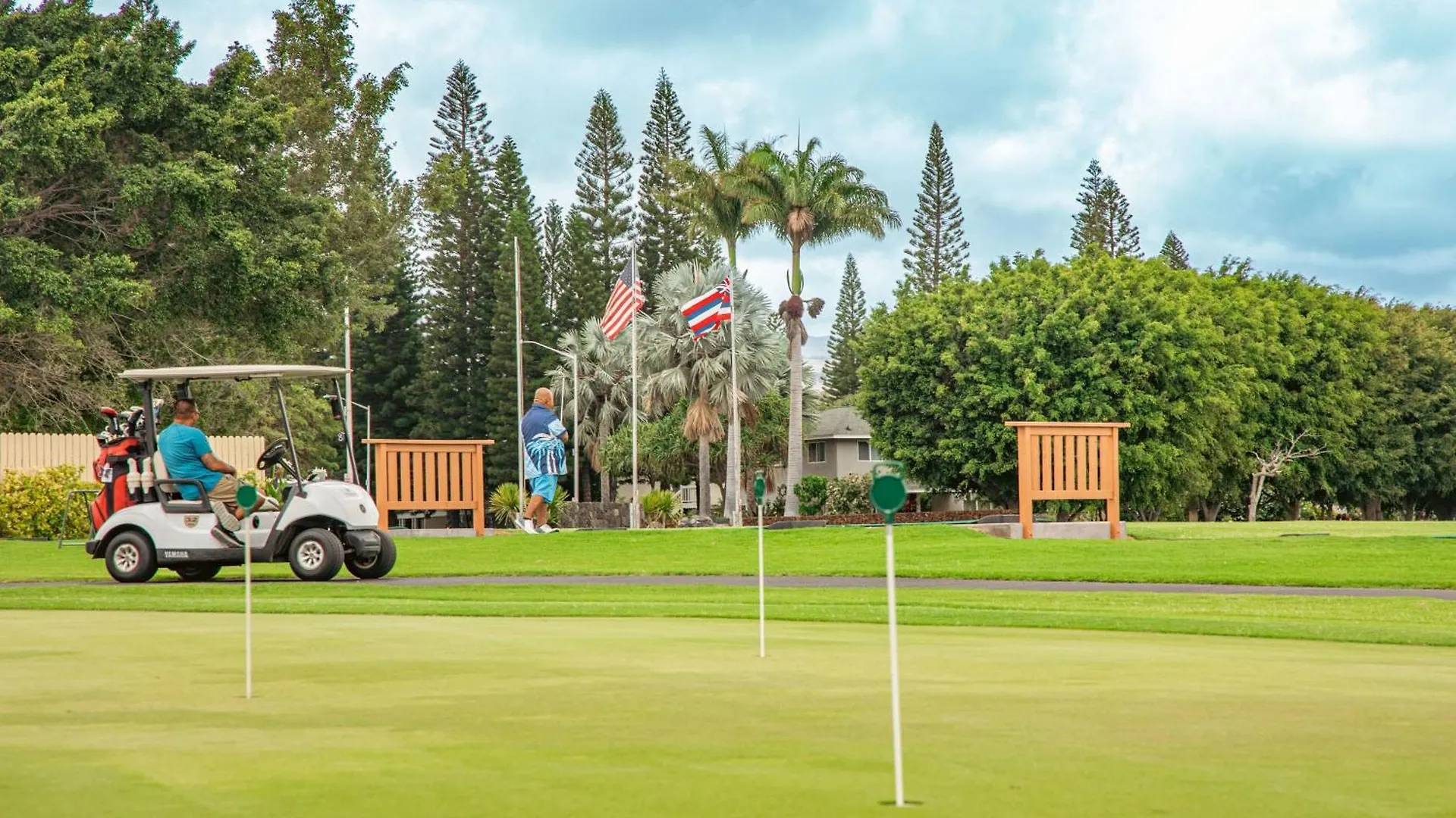 1 Acre Private Resort 4 Bed 3 Bath Cinema Spa Waikoloa Holiday home