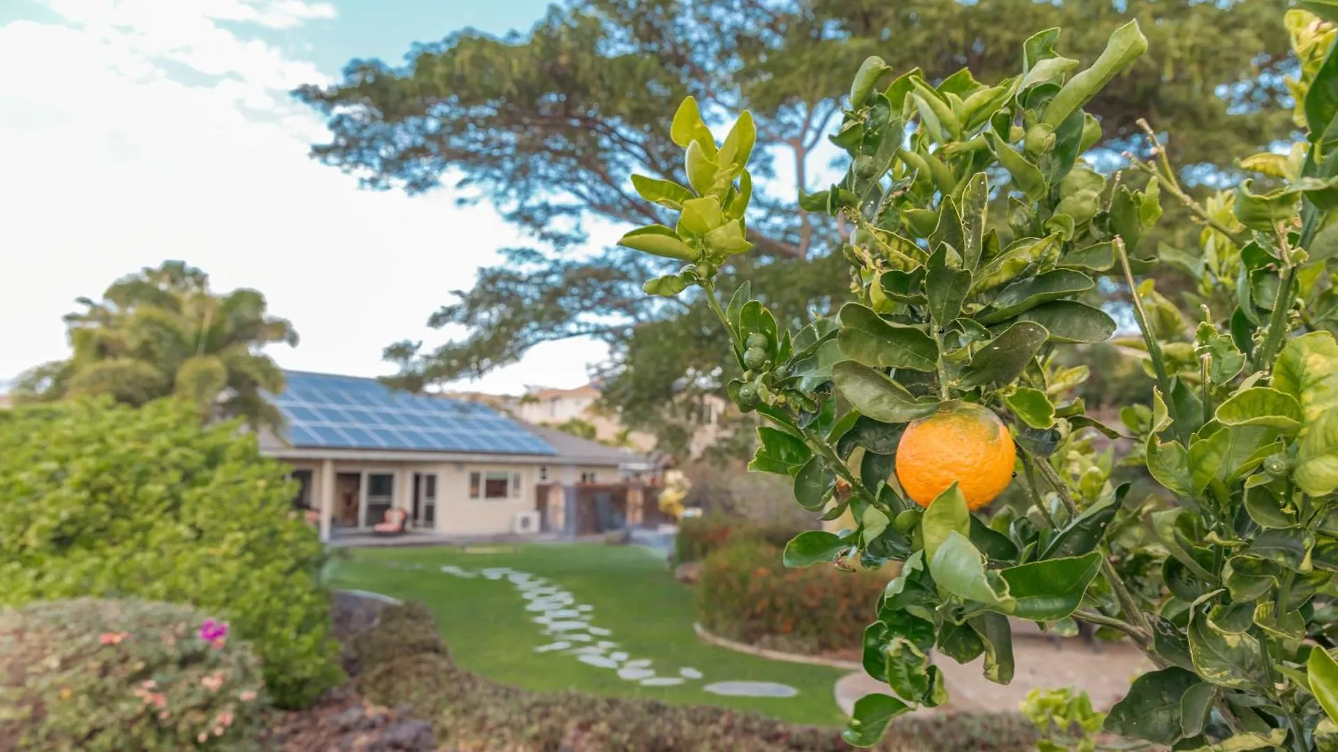 1 Acre Private Resort 4 Bed 3 Bath Cinema Spa Waikoloa United States