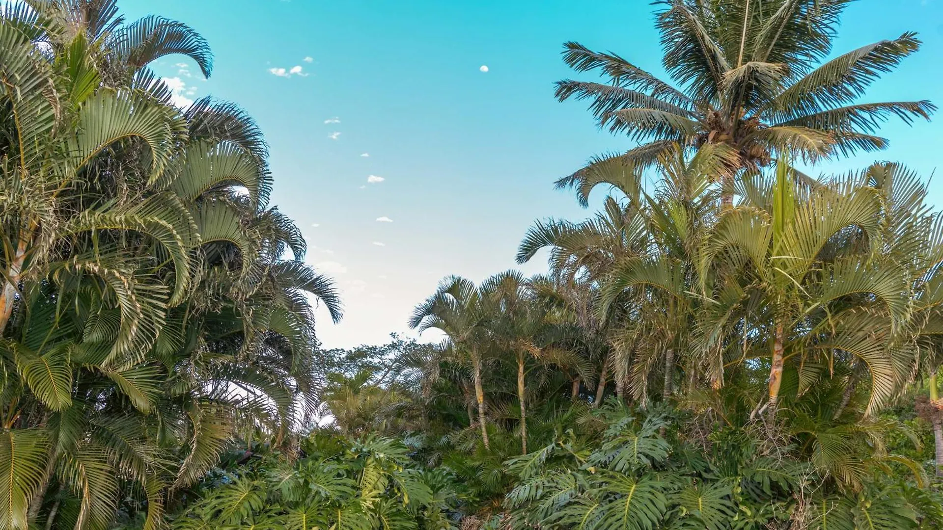 1 Acre Private Resort 4 Bed 3 Bath Cinema Spa Waikoloa United States